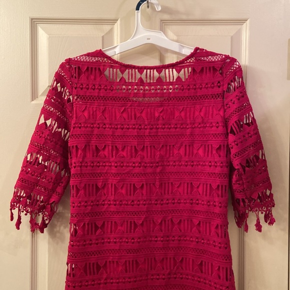 Junco Y Arena Dress Pink Embroidered Lace 3/4 Sleeves Fringe WM SZ 40 Medium 💖 - Picture 10 of 14